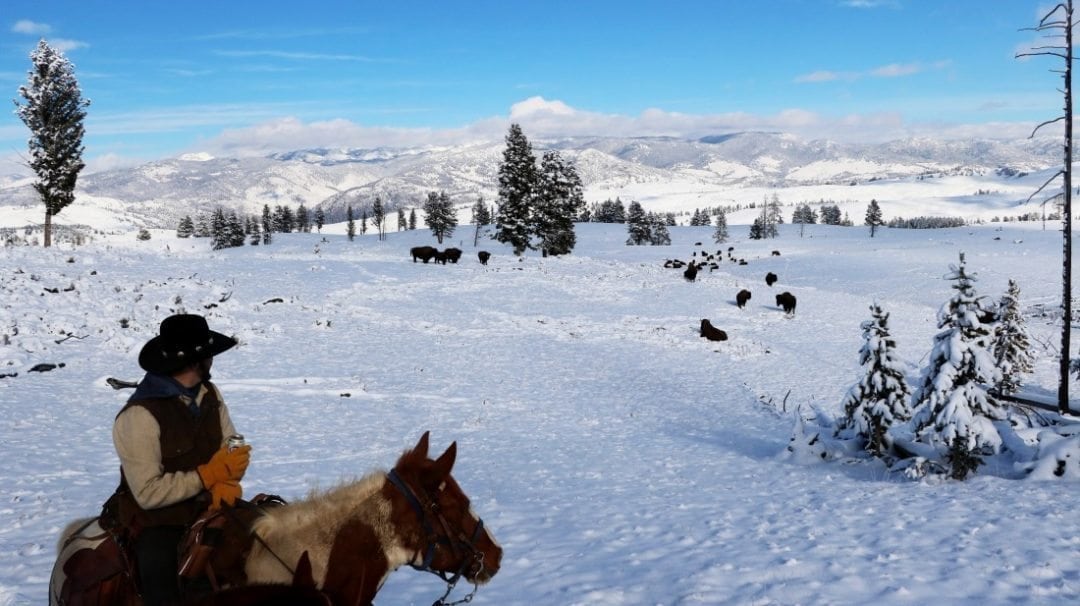 Horseback Riding in Yellowstone National Park Wildwood Grilling